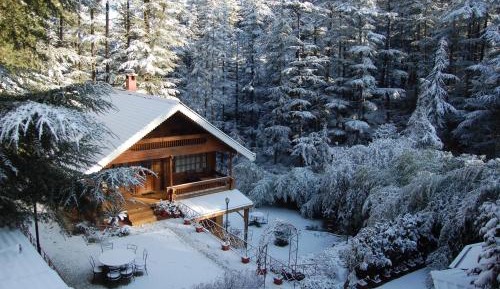 Chalet - Cottage with private sit out area