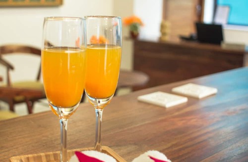 Durgapura Hotel | Tree of Life The Nest, Jaipur