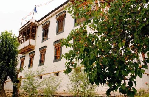 Nimu Hotel | Nimmu House Ladakh