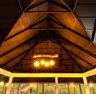 Vagamon Hostel | Monkey Tribe Vagamon
