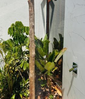 Heggadadevankote House | Encore by Serenity