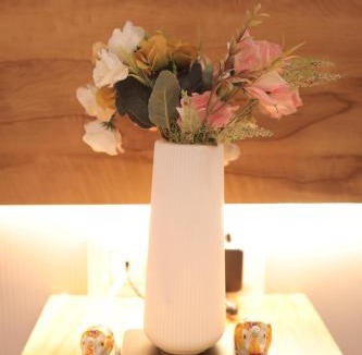 Jaipur House | The Velorique Jaipur For Couples and Families
