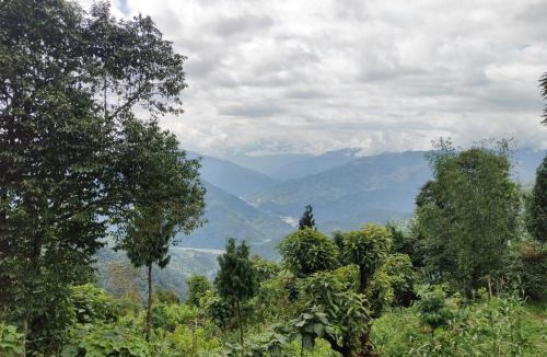 Rishop House | Alpine's Nest Homestay, Ramdhura