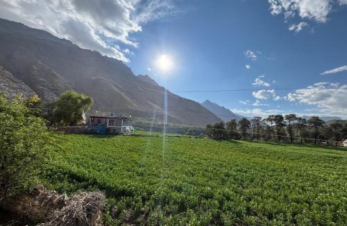 Spiti Bed & Breakfast | Yang tso homestay