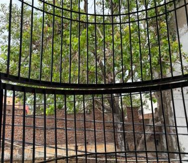 Vrindavan House | Radha Madhav Homestay Near Bake Bihari Mandir