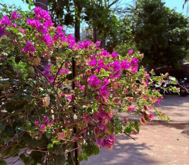 Kuilapalayam House | La Muthu Beach Stay