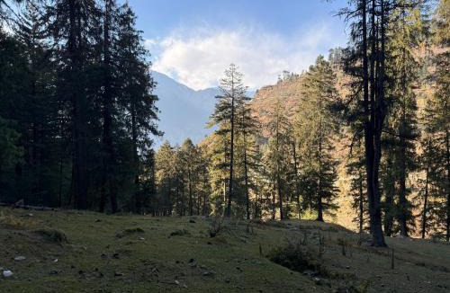 Jagatsukh Hotel | Manali Se - Your Home in the Pines