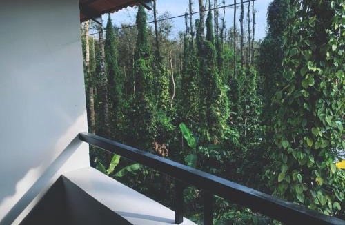 Belur Bed & Breakfast | Taniva Dani by CoffeeBeanVilla