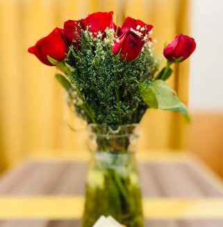 Brein House | Al Jalal Resort