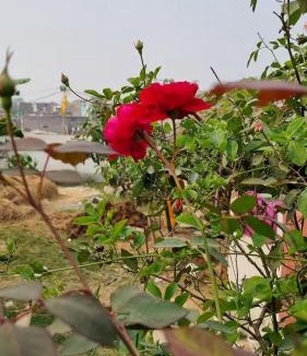Jhanjharpur House | Aangan Village Stay