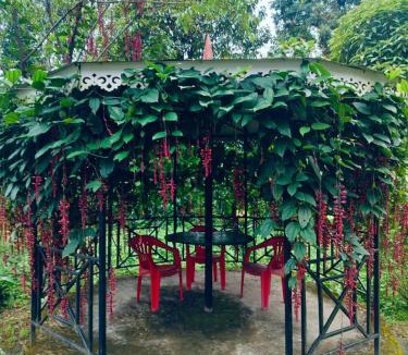 Yuksam House | Yuksam Village Farmstay