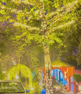 Tala Resort | Tiger Heaven Resort