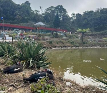 Mirik Bed & Breakfast | Green Hill Home