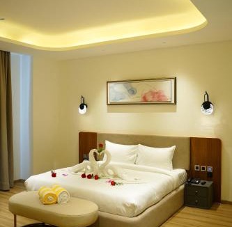 Rohtak Hotel | The Page