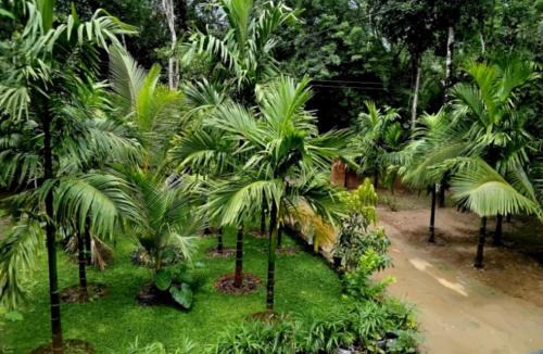 Mananthavady House | Mitra retreats