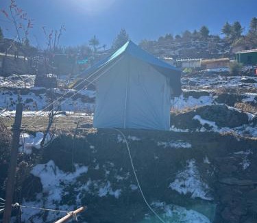 Auli Other | Budget Camp