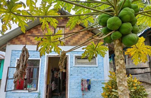 Turuk House | Live in Nature