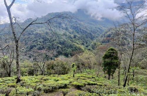 Turuk House | Live in Nature