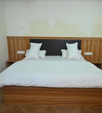 Hotel aditya palace