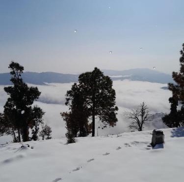 Astitva off-beat Forest Retreat - Chalo Daanda Forest Farm Homestay