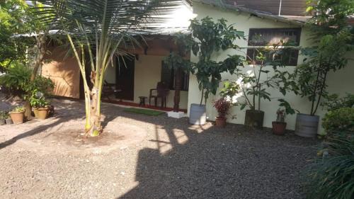 George Brooks Homestay in Alleppey